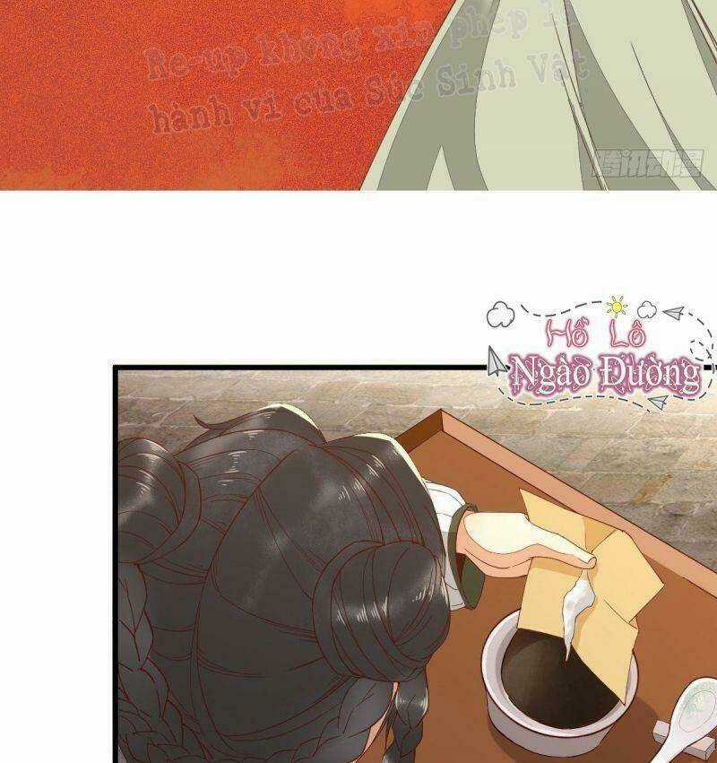 Sát Thủ Vương Phi Không Dễ Chọc Chapter 32 trang 21