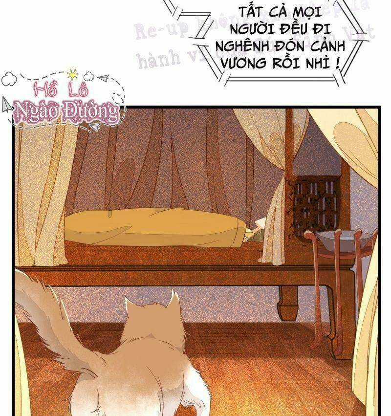 Sát Thủ Vương Phi Không Dễ Chọc Chapter 32 trang 26