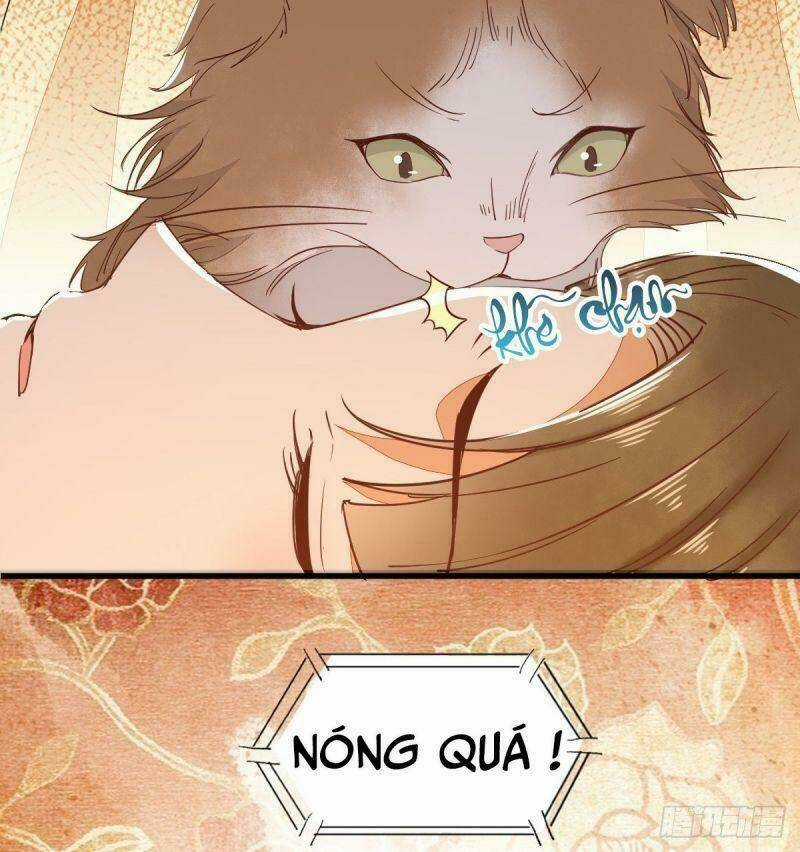 Sát Thủ Vương Phi Không Dễ Chọc Chapter 32 trang 29