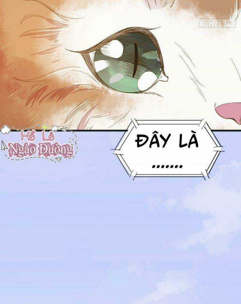 Sát Thủ Vương Phi Không Dễ Chọc Chapter 32 trang 3