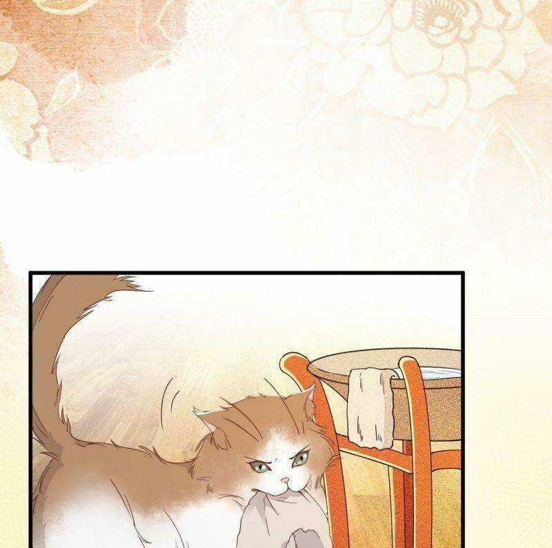 Sát Thủ Vương Phi Không Dễ Chọc Chapter 32 trang 30