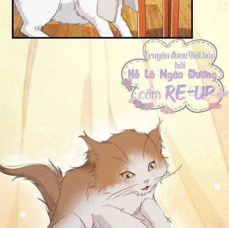 Sát Thủ Vương Phi Không Dễ Chọc Chapter 32 trang 31