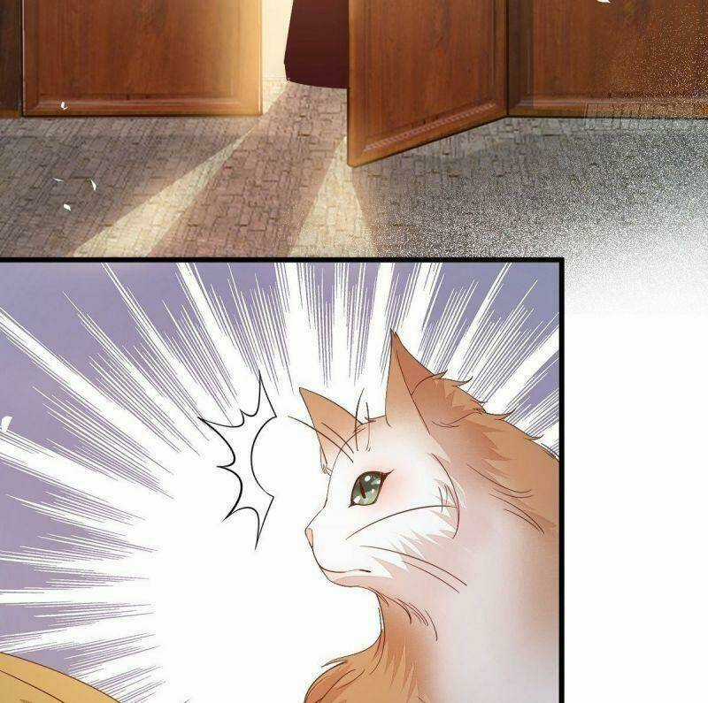 Sát Thủ Vương Phi Không Dễ Chọc Chapter 32 trang 43