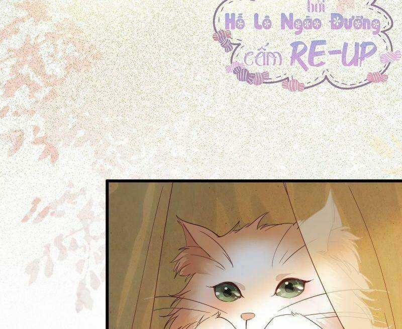 Sát Thủ Vương Phi Không Dễ Chọc Chapter 32 trang 46