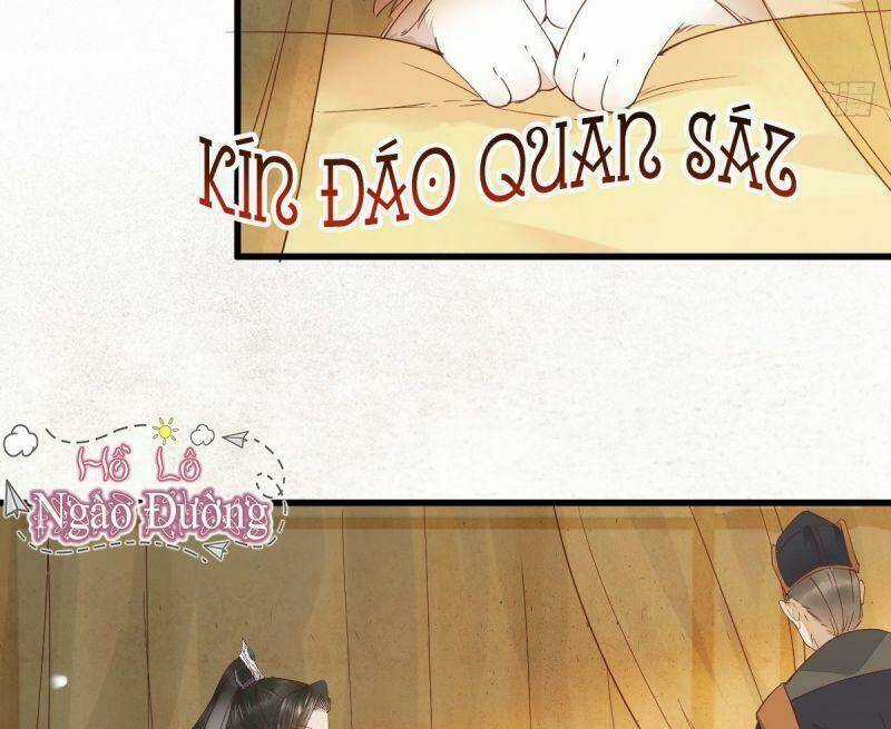 Sát Thủ Vương Phi Không Dễ Chọc Chapter 32 trang 47