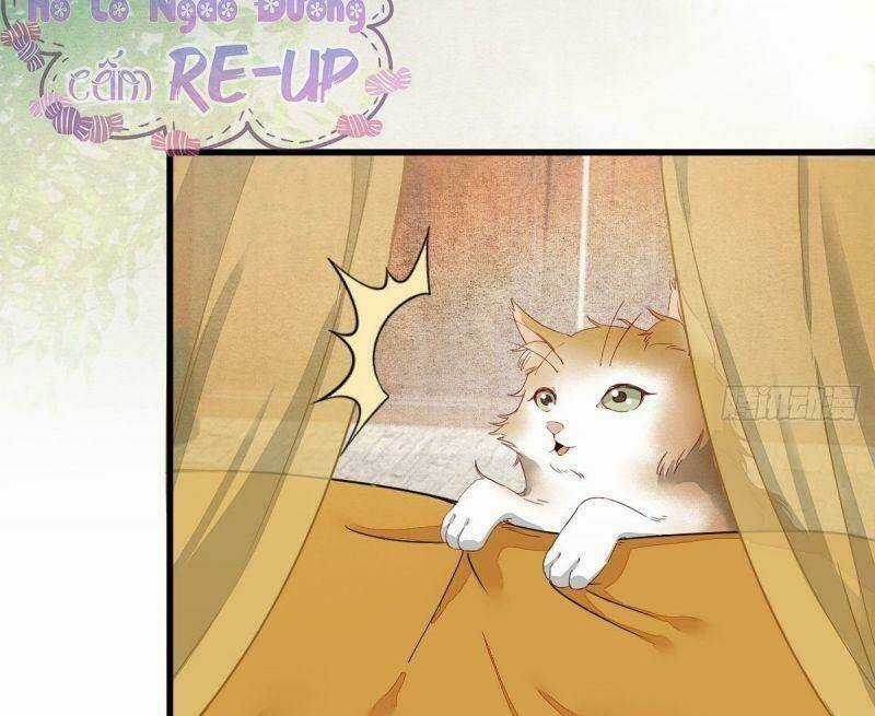 Sát Thủ Vương Phi Không Dễ Chọc Chapter 32 trang 55