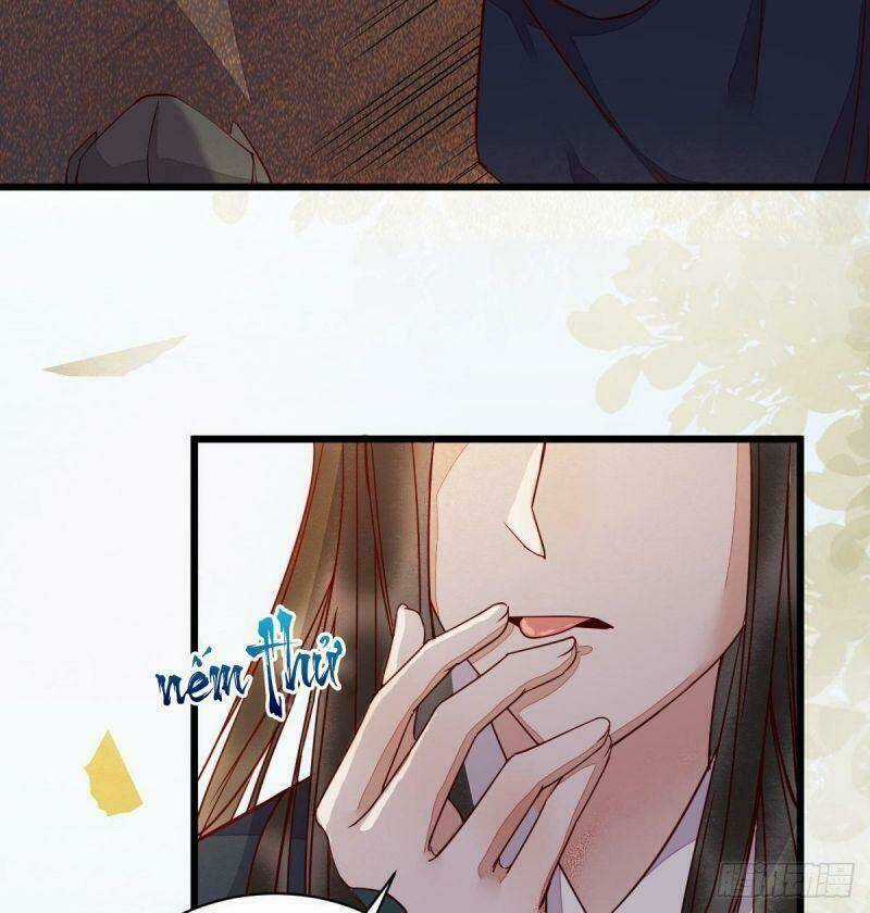 Sát Thủ Vương Phi Không Dễ Chọc Chapter 33 trang 19