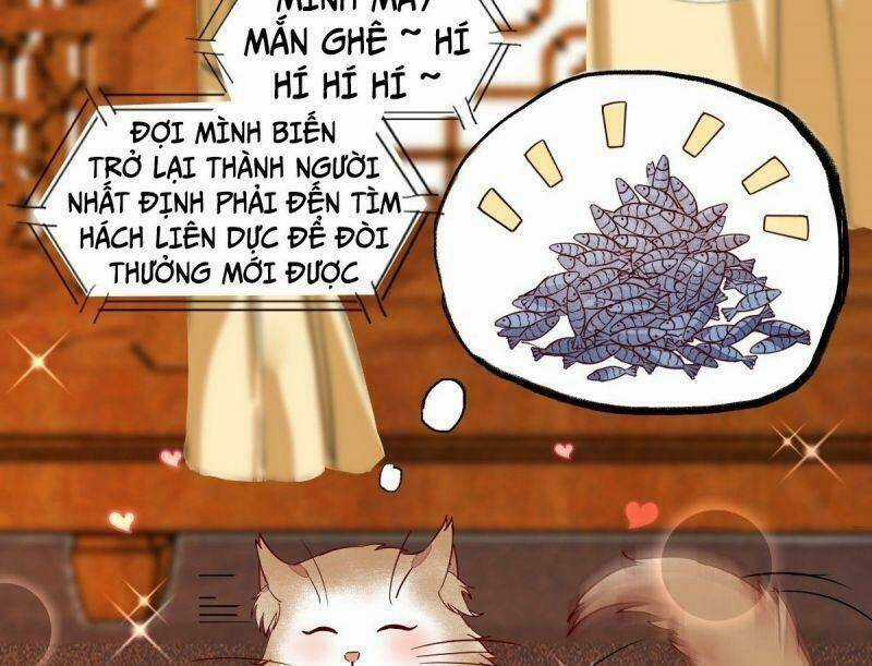 Sát Thủ Vương Phi Không Dễ Chọc Chapter 33 trang 24