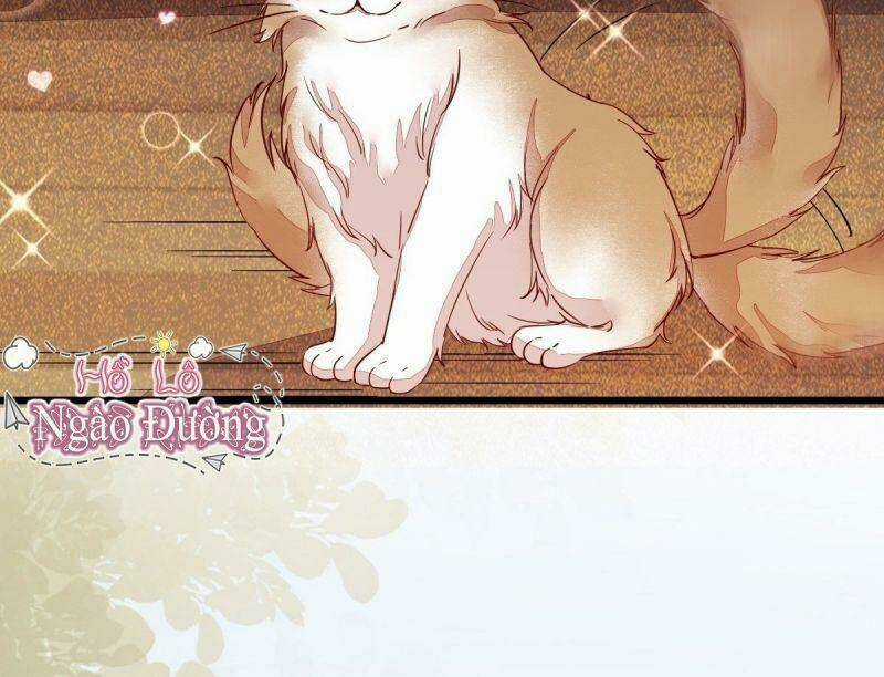 Sát Thủ Vương Phi Không Dễ Chọc Chapter 33 trang 25