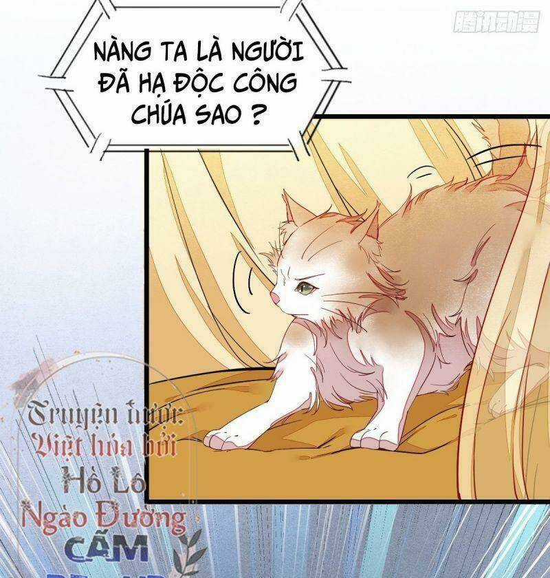 Sát Thủ Vương Phi Không Dễ Chọc Chapter 33 trang 4