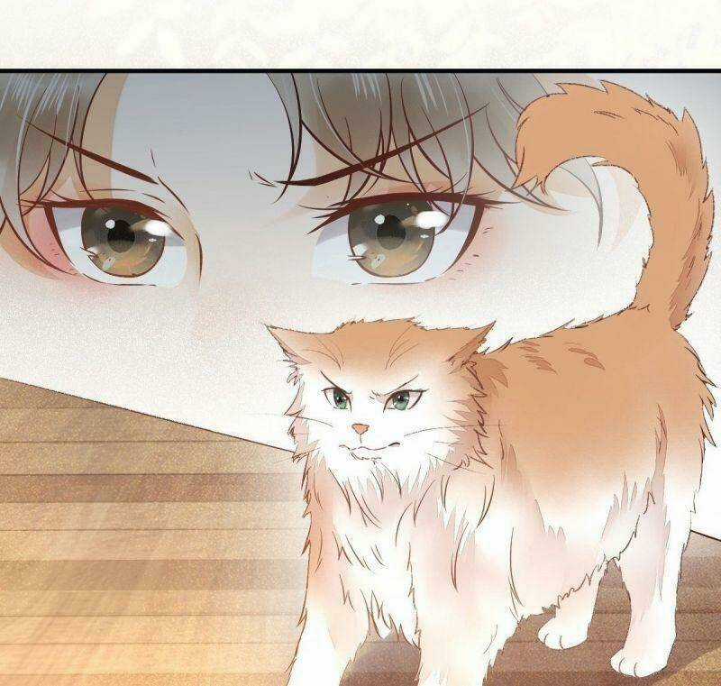 Sát Thủ Vương Phi Không Dễ Chọc Chapter 33 trang 42