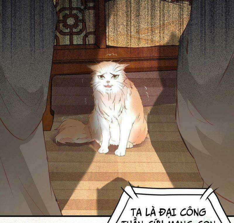 Sát Thủ Vương Phi Không Dễ Chọc Chapter 33 trang 47