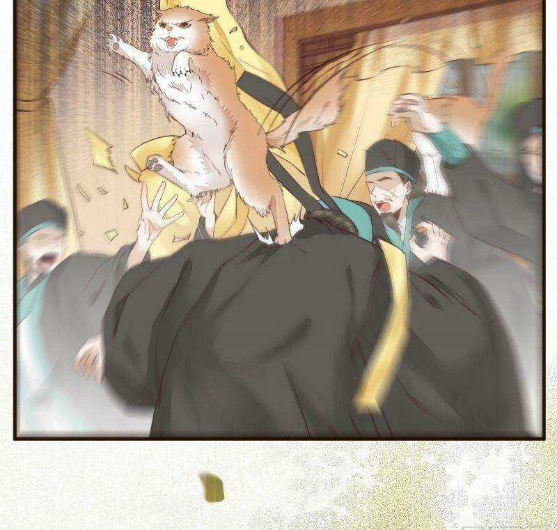 Sát Thủ Vương Phi Không Dễ Chọc Chapter 33 trang 49