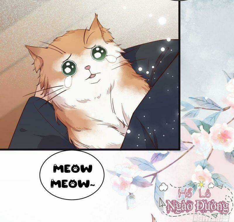 Sát Thủ Vương Phi Không Dễ Chọc Chapter 33 trang 55