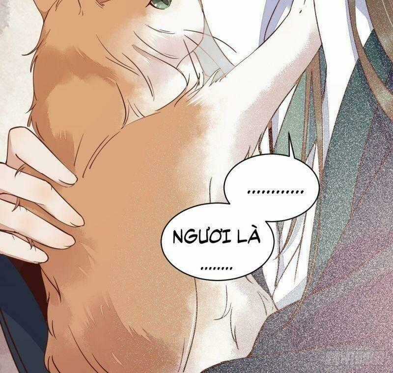 Sát Thủ Vương Phi Không Dễ Chọc Chapter 33 trang 59