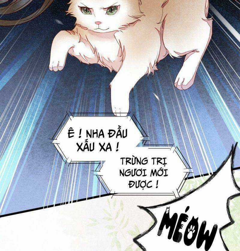 Sát Thủ Vương Phi Không Dễ Chọc Chapter 33 trang 6