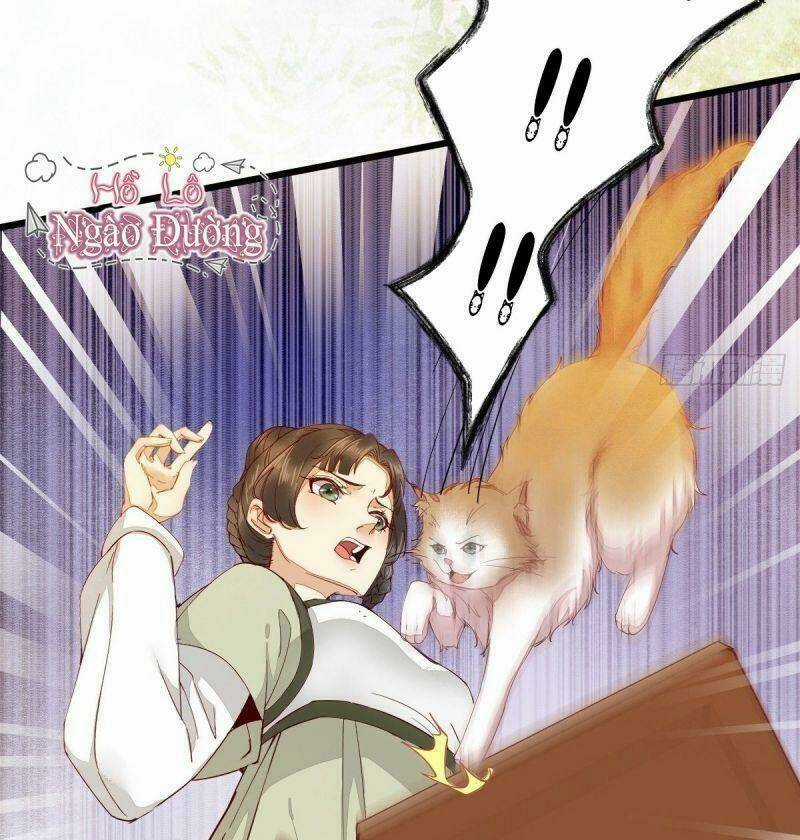 Sát Thủ Vương Phi Không Dễ Chọc Chapter 33 trang 7