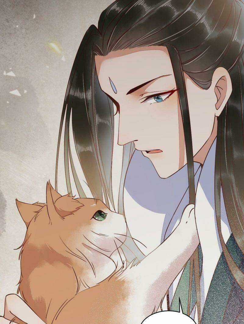 Sát Thủ Vương Phi Không Dễ Chọc Chapter 34 trang 2