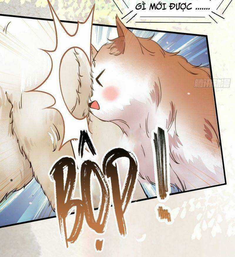 Sát Thủ Vương Phi Không Dễ Chọc Chapter 34 trang 51