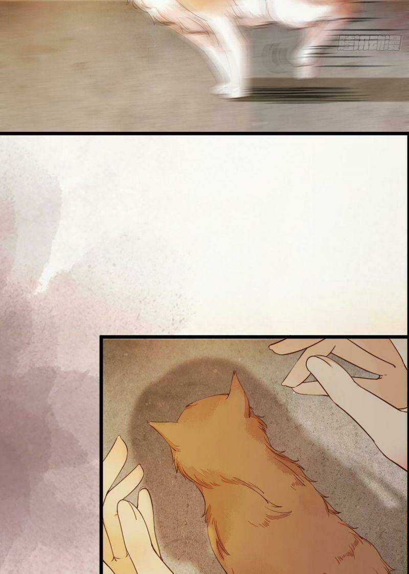 Sát Thủ Vương Phi Không Dễ Chọc Chapter 35 trang 10