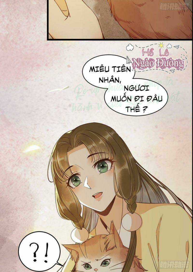 Sát Thủ Vương Phi Không Dễ Chọc Chapter 35 trang 11