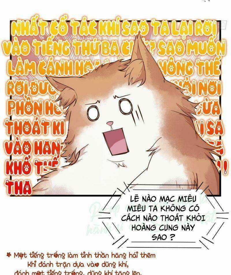 Sát Thủ Vương Phi Không Dễ Chọc Chapter 35 trang 13