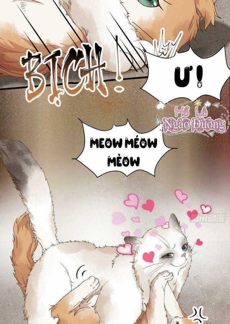 Sát Thủ Vương Phi Không Dễ Chọc Chapter 35 trang 2