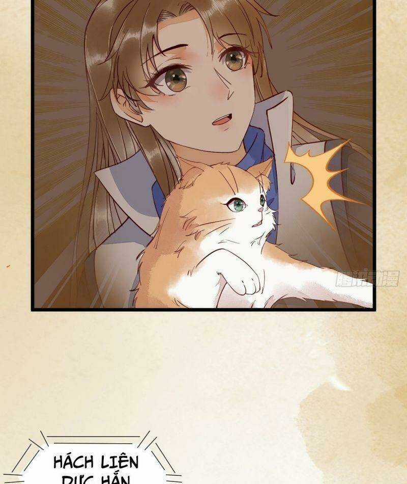 Sát Thủ Vương Phi Không Dễ Chọc Chapter 35 trang 21