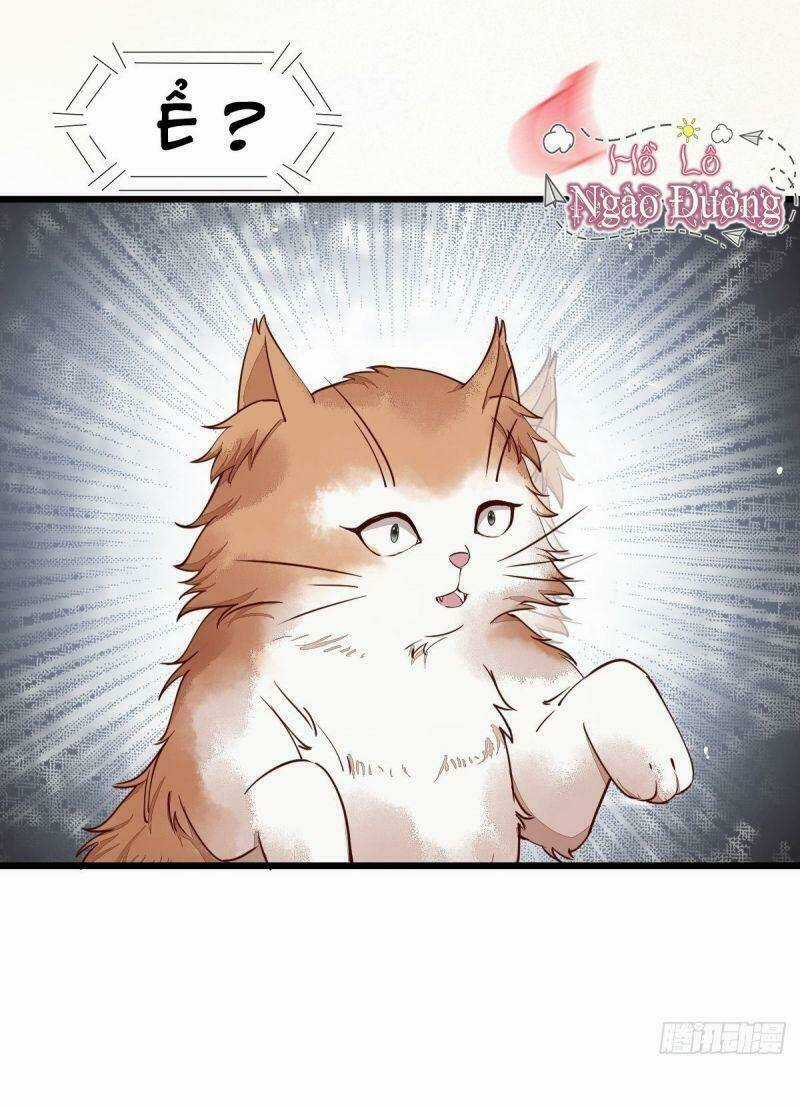 Sát Thủ Vương Phi Không Dễ Chọc Chapter 35 trang 28