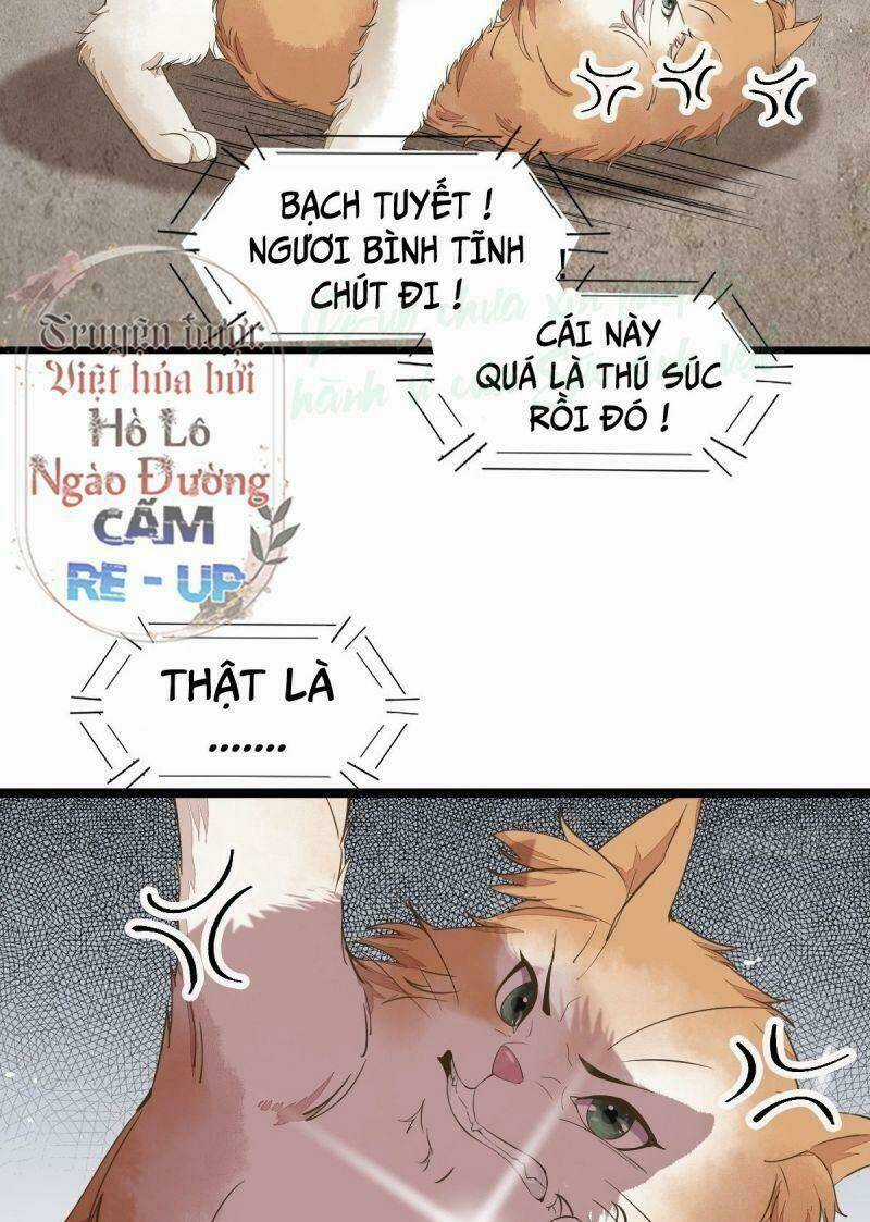 Sát Thủ Vương Phi Không Dễ Chọc Chapter 35 trang 3