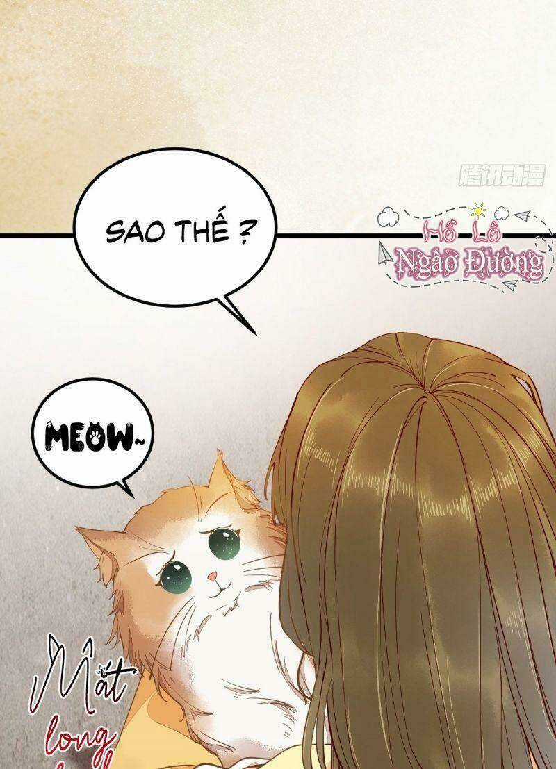 Sát Thủ Vương Phi Không Dễ Chọc Chapter 35 trang 30