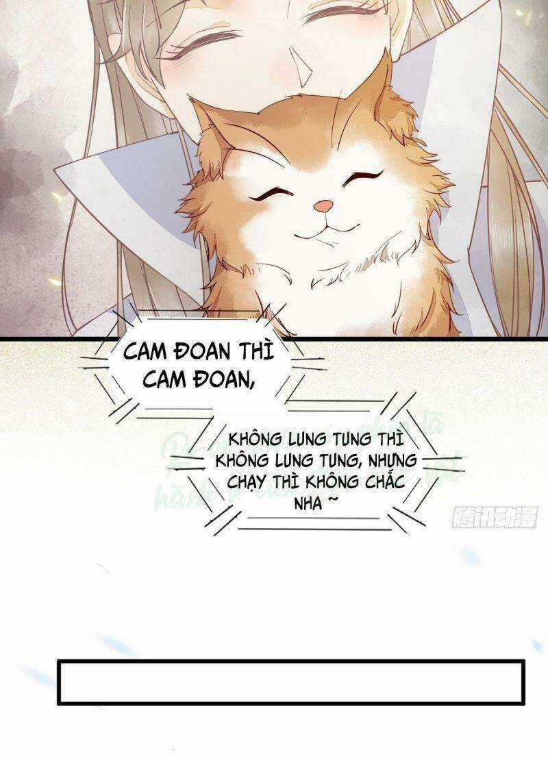 Sát Thủ Vương Phi Không Dễ Chọc Chapter 35 trang 34