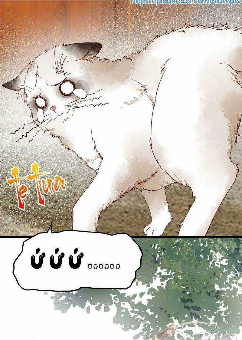 Sát Thủ Vương Phi Không Dễ Chọc Chapter 35 trang 6