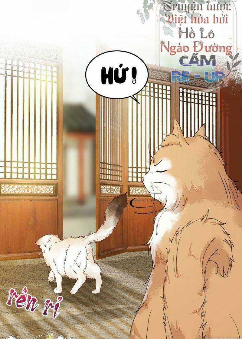 Sát Thủ Vương Phi Không Dễ Chọc Chapter 35 trang 7