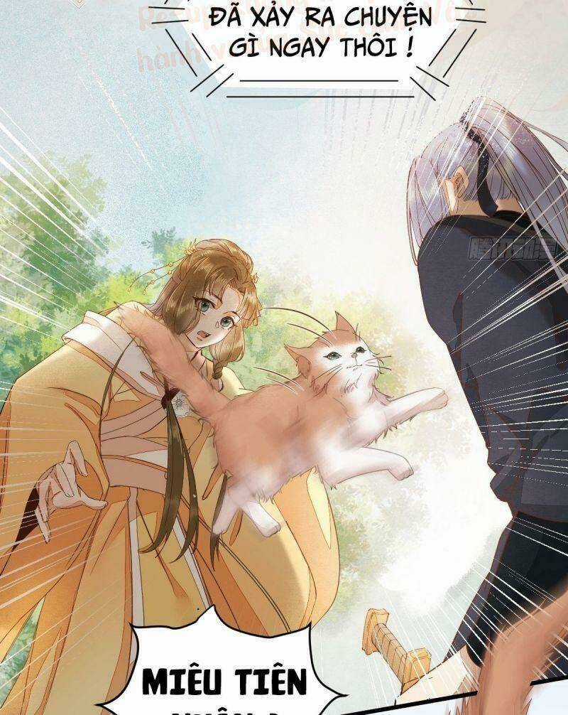 Sát Thủ Vương Phi Không Dễ Chọc Chapter 36 trang 13