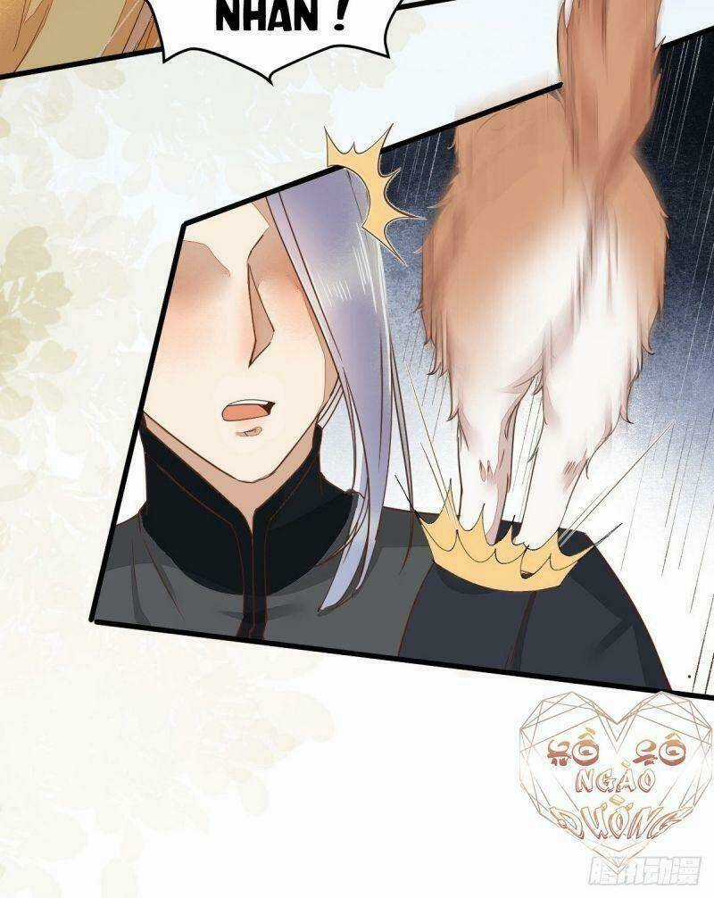 Sát Thủ Vương Phi Không Dễ Chọc Chapter 36 trang 14