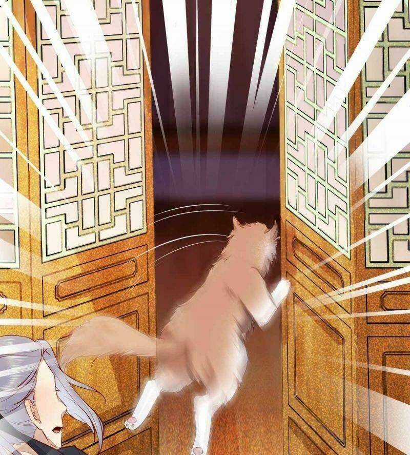 Sát Thủ Vương Phi Không Dễ Chọc Chapter 36 trang 15