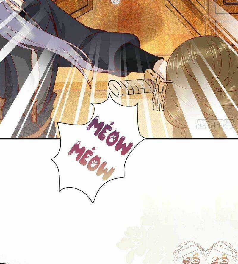 Sát Thủ Vương Phi Không Dễ Chọc Chapter 36 trang 16