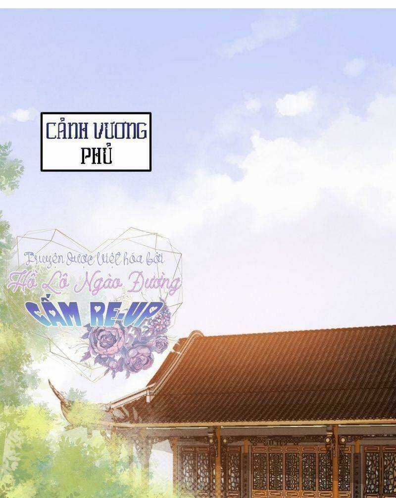 Sát Thủ Vương Phi Không Dễ Chọc Chapter 36 trang 2