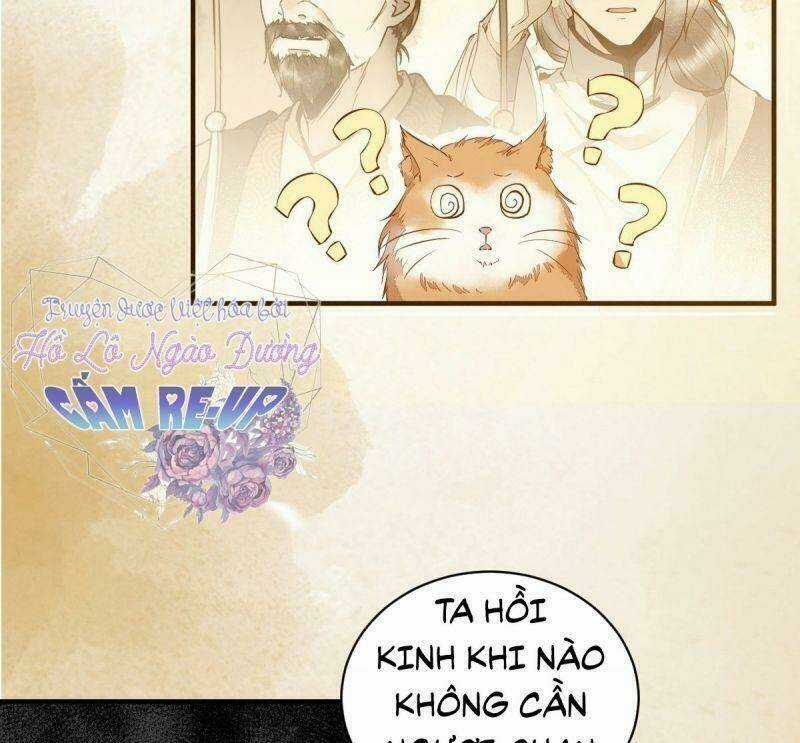 Sát Thủ Vương Phi Không Dễ Chọc Chapter 36 trang 32