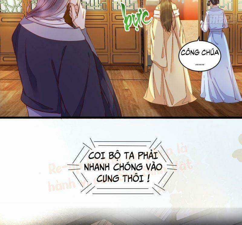 Sát Thủ Vương Phi Không Dễ Chọc Chapter 36 trang 42