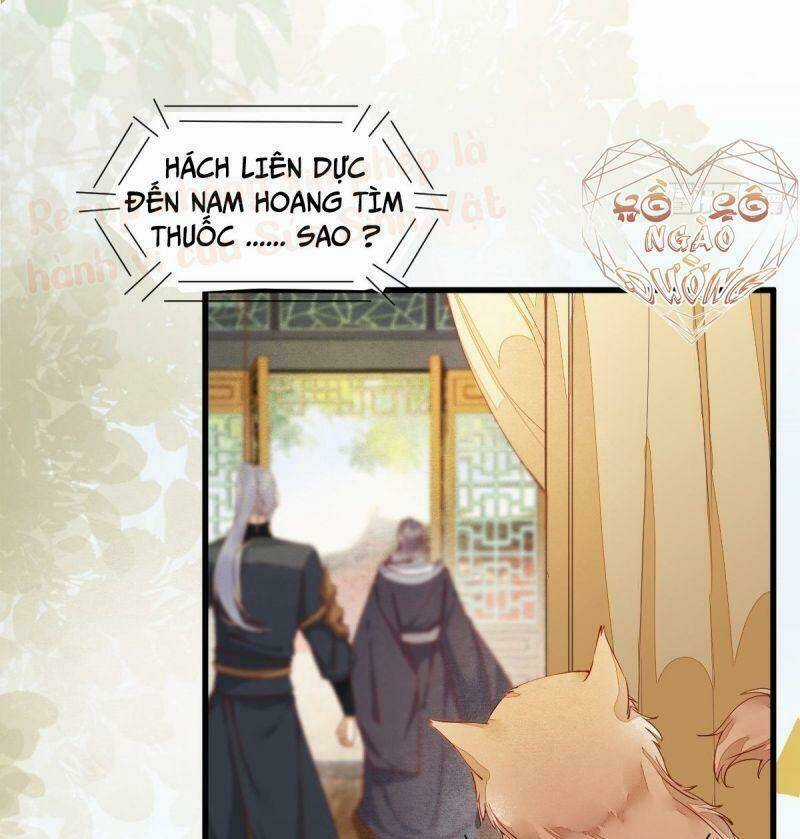 Sát Thủ Vương Phi Không Dễ Chọc Chapter 36 trang 46