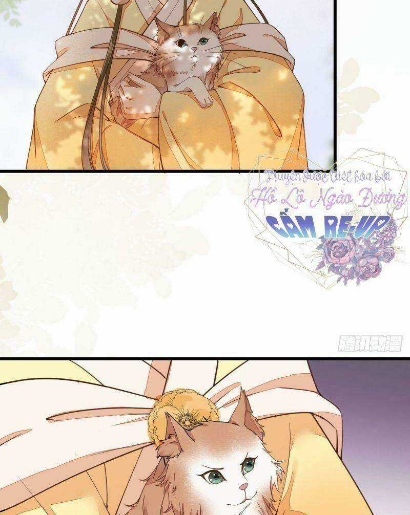 Sát Thủ Vương Phi Không Dễ Chọc Chapter 36 trang 7