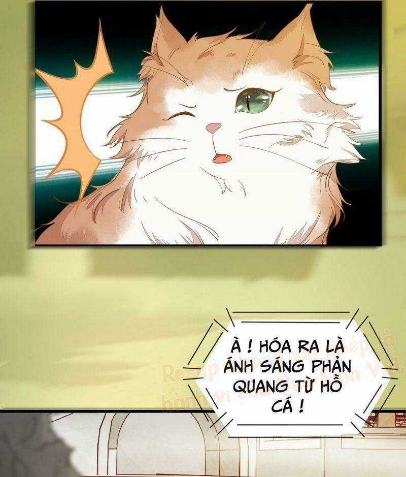 Sát Thủ Vương Phi Không Dễ Chọc Chapter 37 trang 11