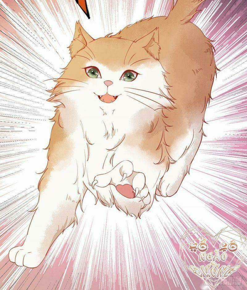 Sát Thủ Vương Phi Không Dễ Chọc Chapter 37 trang 14