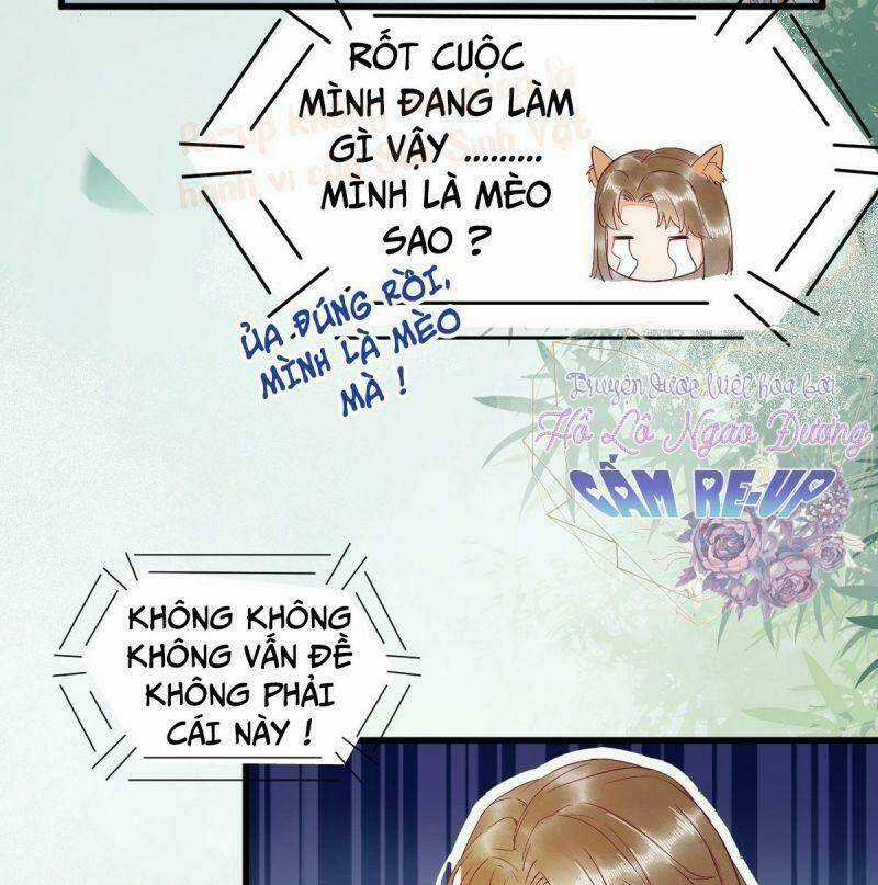 Sát Thủ Vương Phi Không Dễ Chọc Chapter 37 trang 18