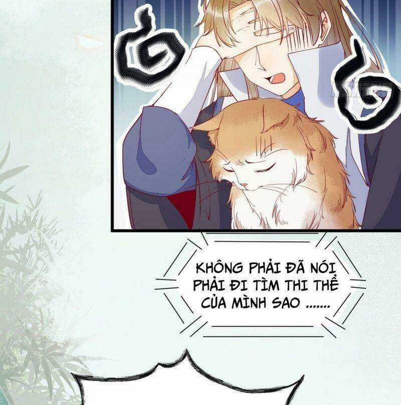 Sát Thủ Vương Phi Không Dễ Chọc Chapter 37 trang 19