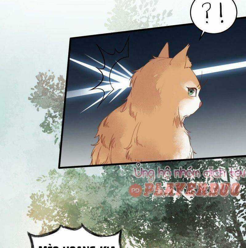 Sát Thủ Vương Phi Không Dễ Chọc Chapter 37 trang 21