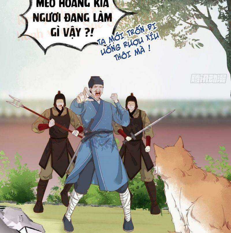 Sát Thủ Vương Phi Không Dễ Chọc Chapter 37 trang 22