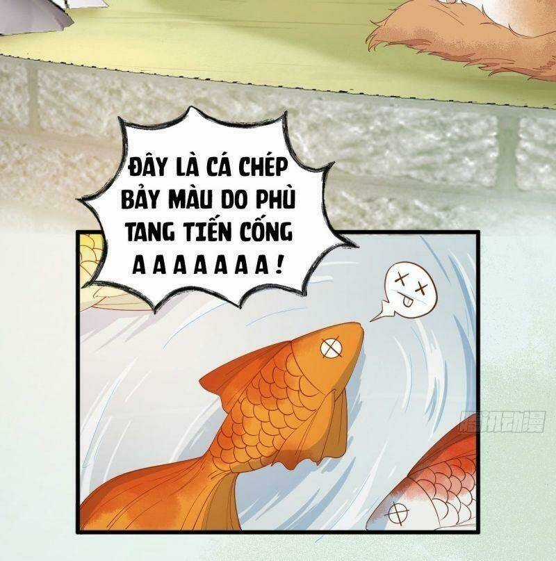 Sát Thủ Vương Phi Không Dễ Chọc Chapter 37 trang 23